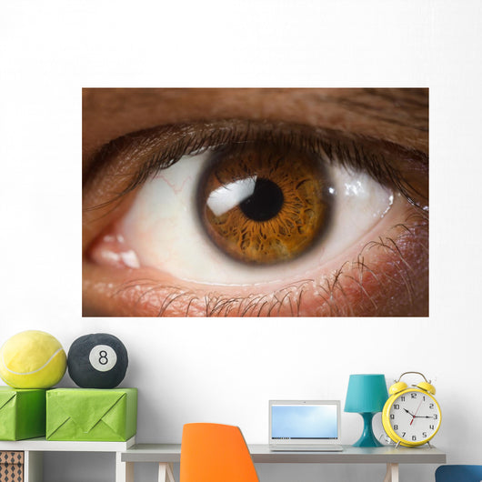 Brown Eye Wall Decal