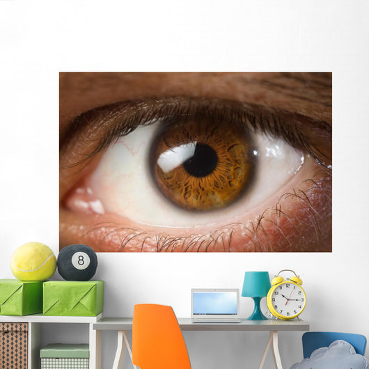 Brown Eye Wall Decal