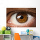 Brown Eye Wall Decal