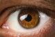 Brown Eye Wall Decal