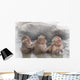 Monkey Which Washes Hot Wall Decal