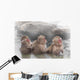 Monkey Which Washes Hot Wall Decal