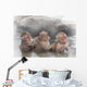 Monkey Which Washes Hot Wall Decal