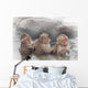 Monkey Which Washes Hot Wall Decal