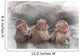 Monkey Which Washes Hot Wall Decal