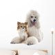 White Standard Poodle and Wall Decal