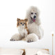 White Standard Poodle and Wall Decal