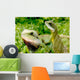 Lizard Wall Decal