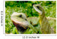 Lizard Wall Decal
