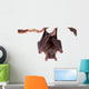 Egyptian Fruit Bat White Wall Decal