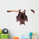 Egyptian Fruit Bat White Wall Decal