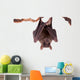 Egyptian Fruit Bat White Wall Decal