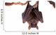 Egyptian Fruit Bat White Wall Decal