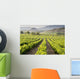 Vinedo San Vicente La Wall Decal