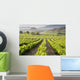 Vinedo San Vicente La Wall Decal