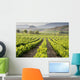Vinedo San Vicente La Wall Decal