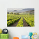 Vinedo San Vicente La Wall Decal