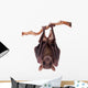 Egyptian Fruit Bat Wall Decal Design 1