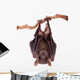Egyptian Fruit Bat Wall Decal Design 1