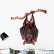 Egyptian Fruit Bat Wall Decal Design 1