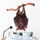 Egyptian Fruit Bat Wall Decal Design 1