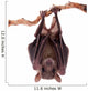 Egyptian Fruit Bat Wall Decal Design 1