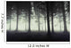 Gloomy Forest with Fog Wall Decal