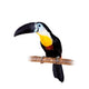 Channel-billed Toucan White Wall Decal