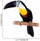 Channel-billed Toucan White Wall Decal