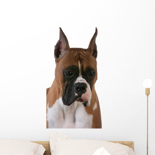 Purebred Boxer Wall Decal