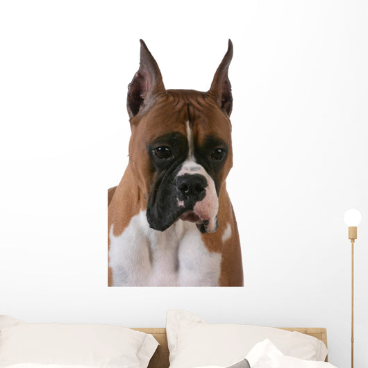 Purebred Boxer Wall Decal