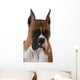 Purebred Boxer Wall Decal