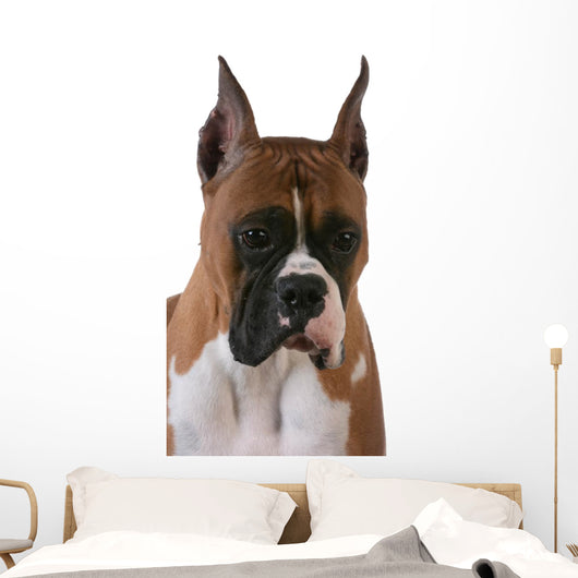 Purebred Boxer Wall Decal