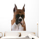 Purebred Boxer Wall Decal