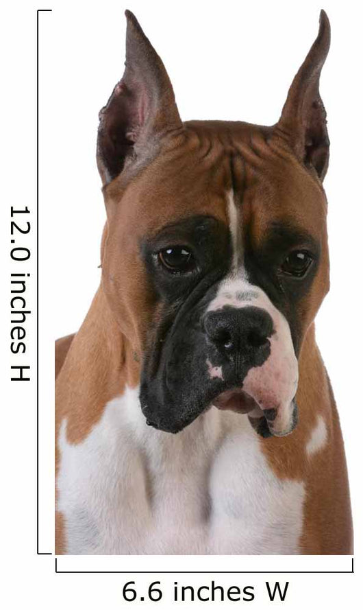 Purebred Boxer Wall Decal