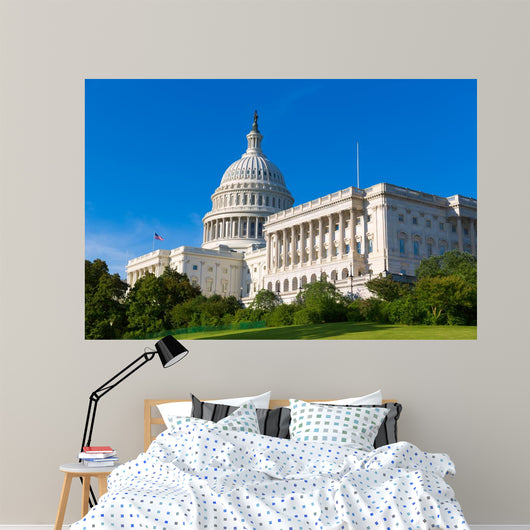 Capitol Building Washington Dc Wall Decal Design 1