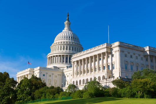 Capitol Building Washington Dc Wall Decal Design 1