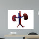 Human Kidney Wall Decal