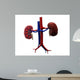 Human Kidney Wall Decal