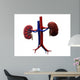Human Kidney Wall Decal