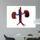 Human Kidney Wall Decal
