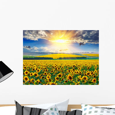 Sunflower Field Morning Wall Decal shown on a wall