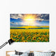 Sunflower Field Morning Wall Decal