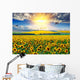 Sunflower Field Morning Wall Decal