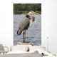 Heron Wall Decal