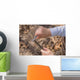 Hands Young Boy Whittling Wall Decal