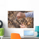 Hands Young Boy Whittling Wall Decal