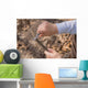 Hands Young Boy Whittling Wall Decal