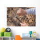 Hands Young Boy Whittling Wall Decal