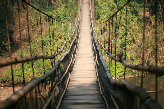 Hanging Wooden Bridge Wall Decal